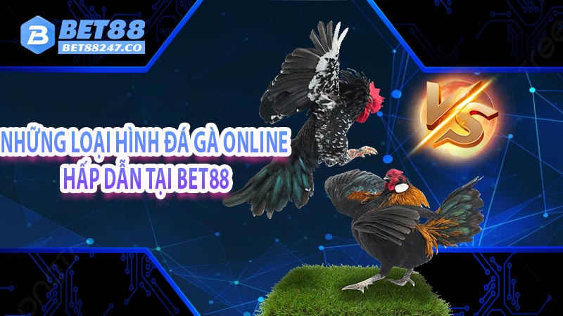 Những loại hình đá gà online hấp dẫn tại Bet88