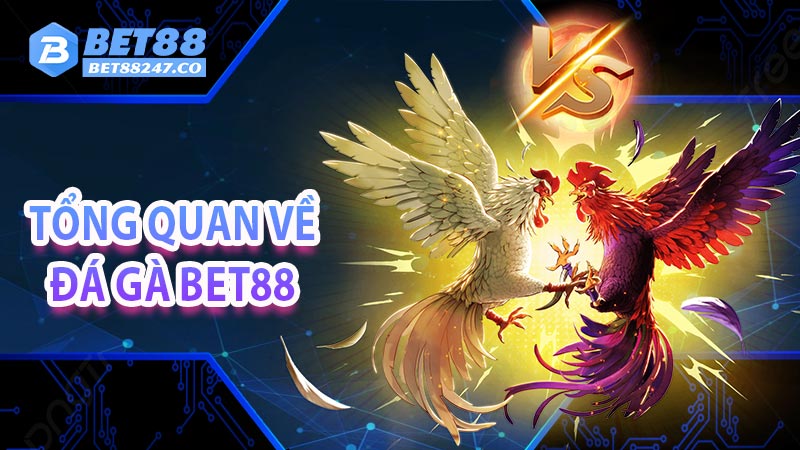 Tổng quan về đá gà bet88 