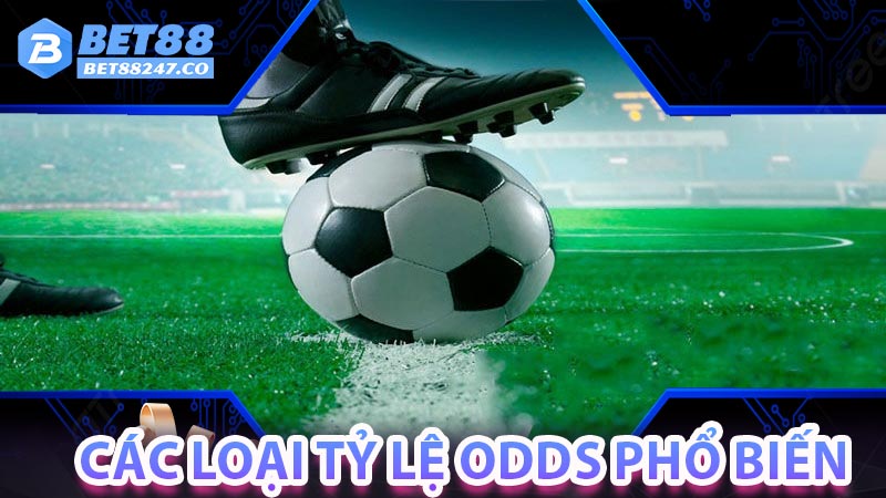 Các loại tỷ lệ Odds phổ biến